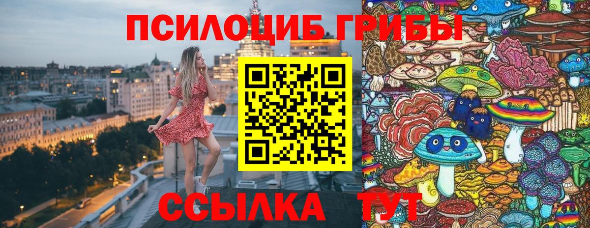 Галлюциногенные грибы ЛСД  Вход с VPN  Галлюциногенные грибы Psilocybe  наркошоп  Менделеевск 