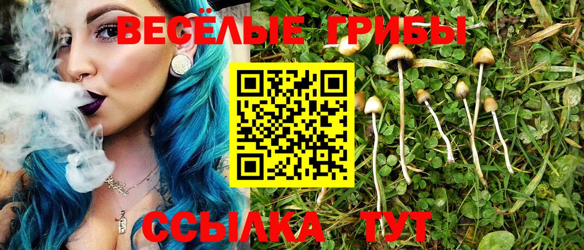 Псилоцибиновые грибы GOLDEN TEACHER Менделеевск